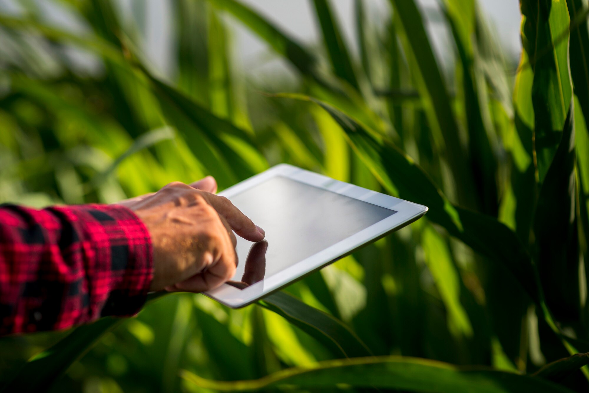 Built a Smart Farming Web Platform