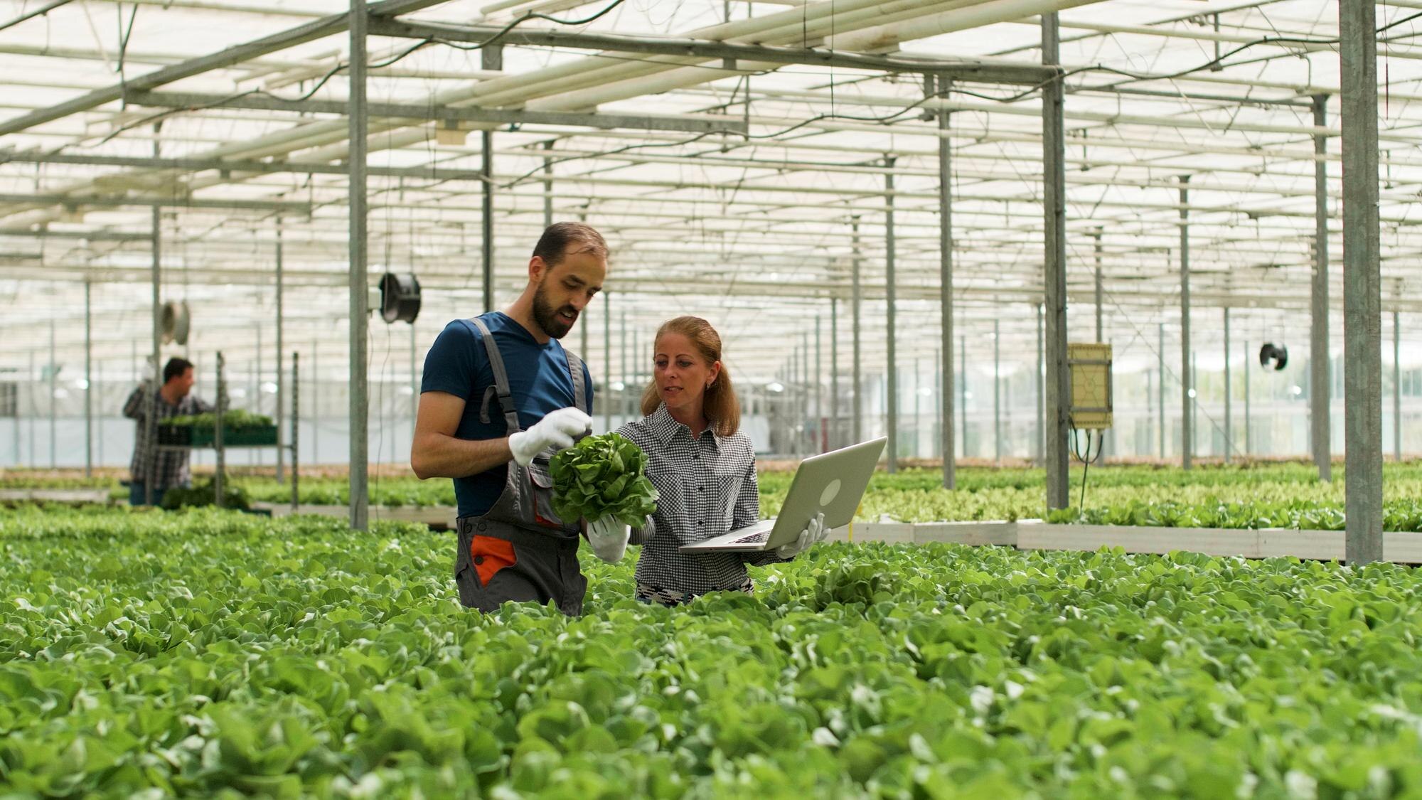 Integrated IoT Hardware & Connectivity