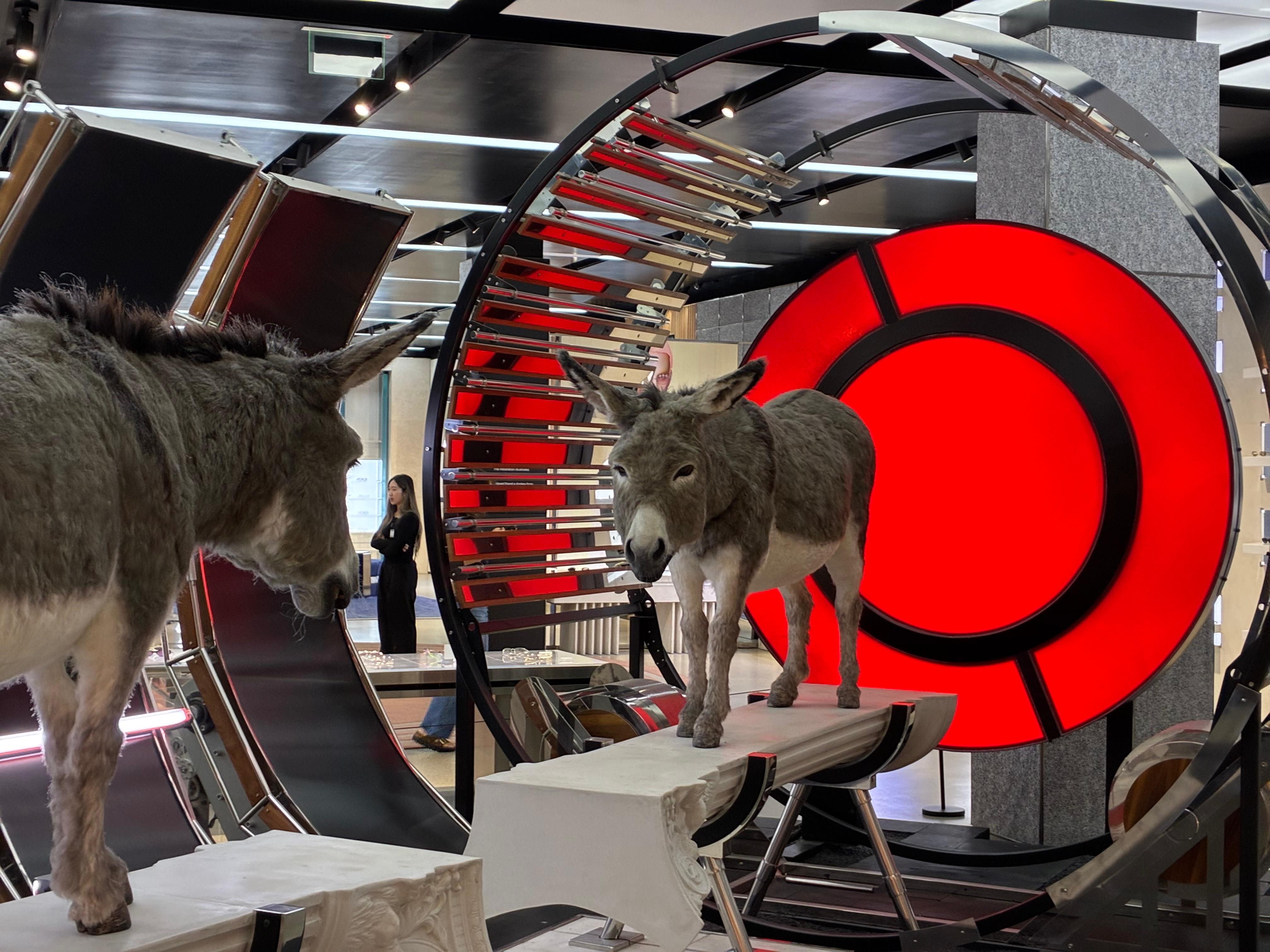 Skill upgrading programs