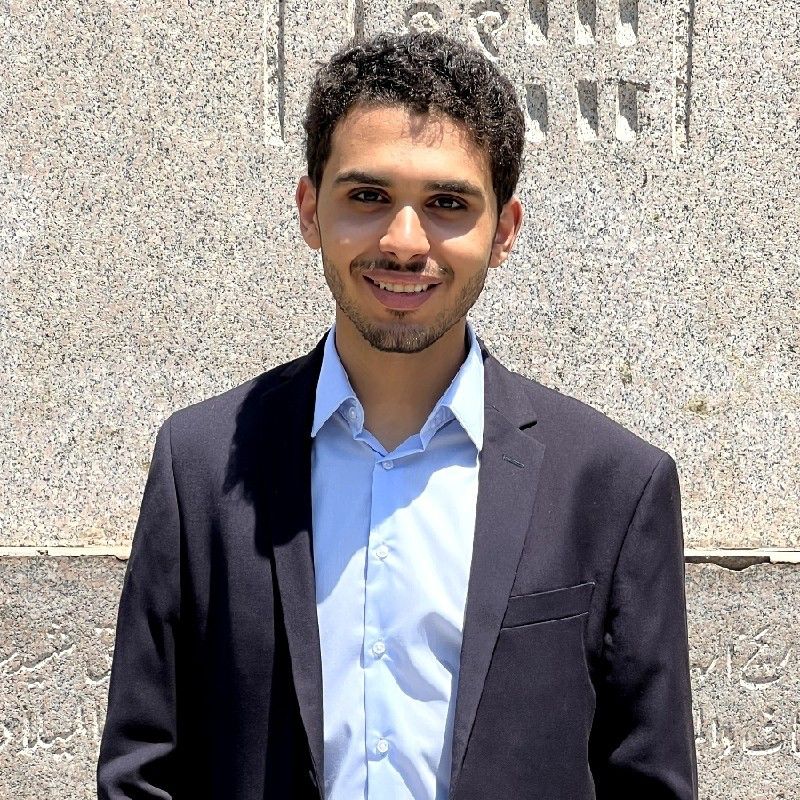 Mahmoud Ahmed Hanafy