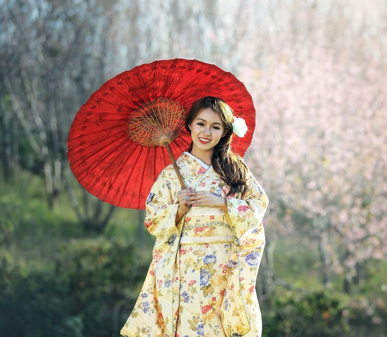 Data Template Infotech KK
3-23 - 20, Hinomine kitaku, Kobe, 
Postal Code 651-1233, Japan
Contact Number # +81 80 1362 3995